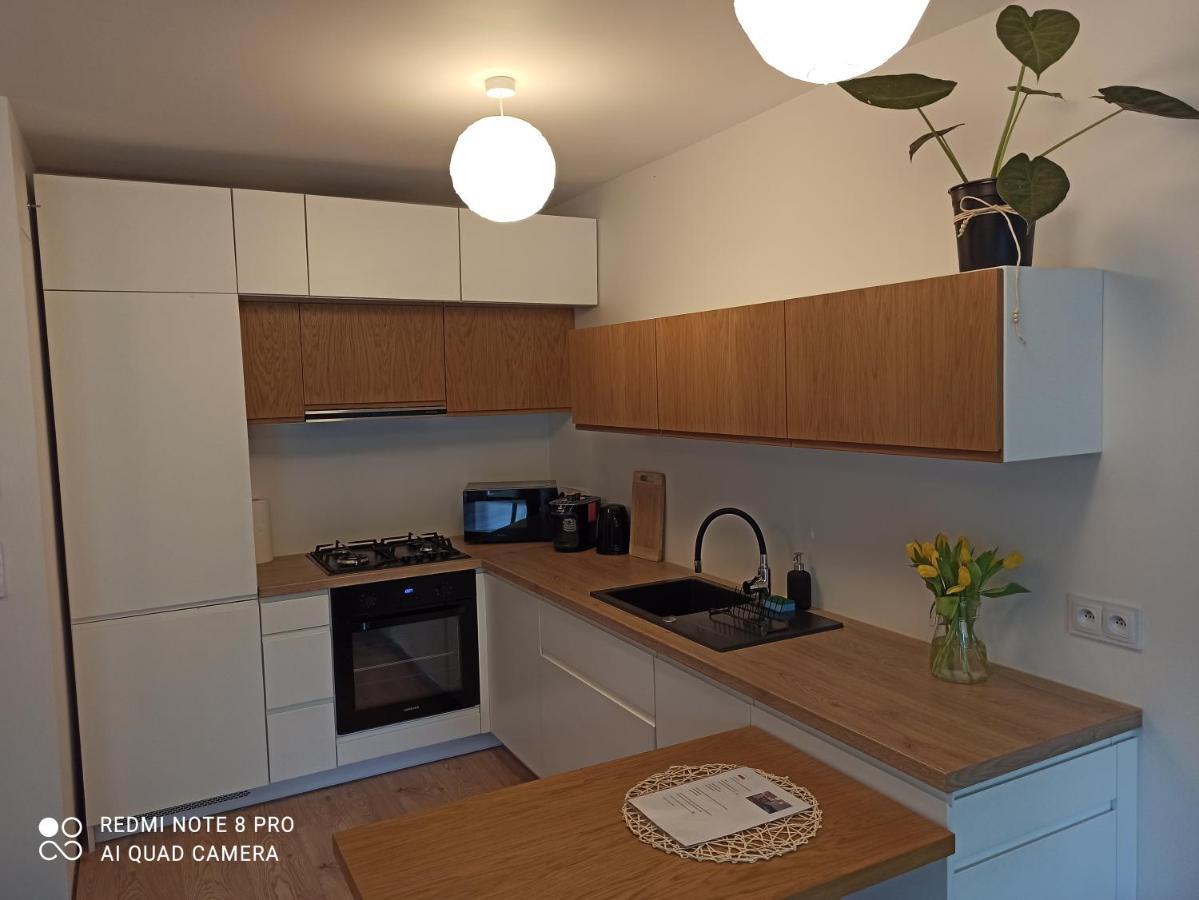 Studio Park Slaski M.10 Katowice/Chorzów Εξωτερικό φωτογραφία